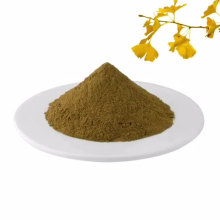 Flavone 24% Lactone 6% Organic Ginkgo Biloba Leaves Extract Powder Dried Ginkgo Biloba Leaf Extract